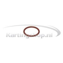 Cylinder head o-ring