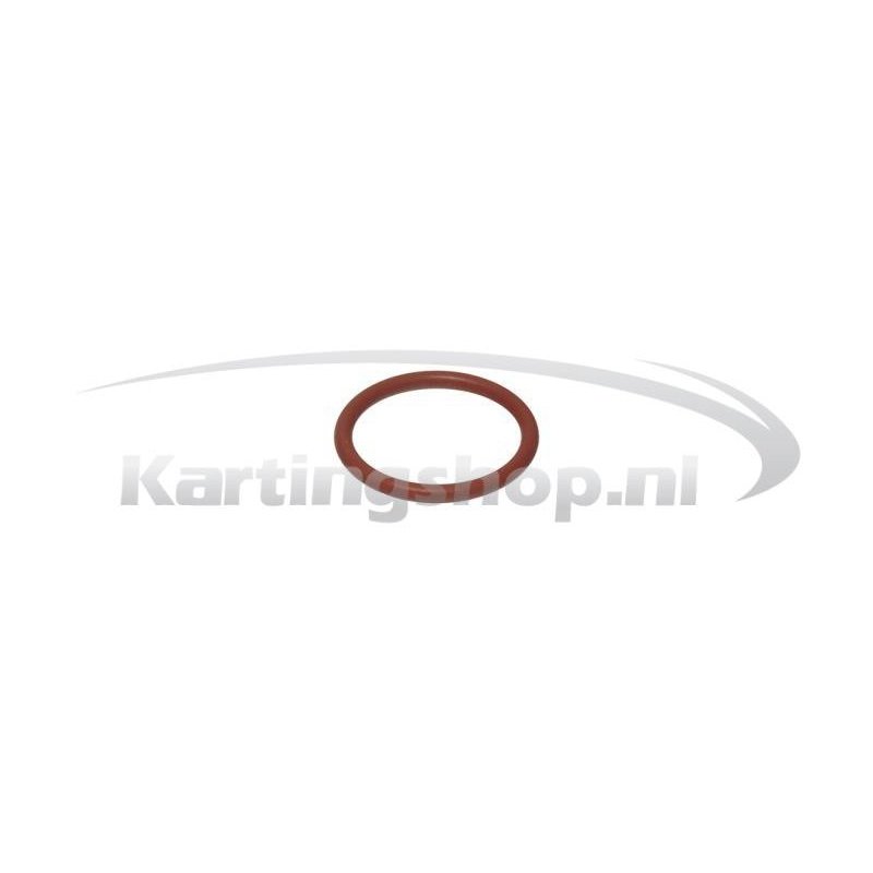 Cylinder head o-ring