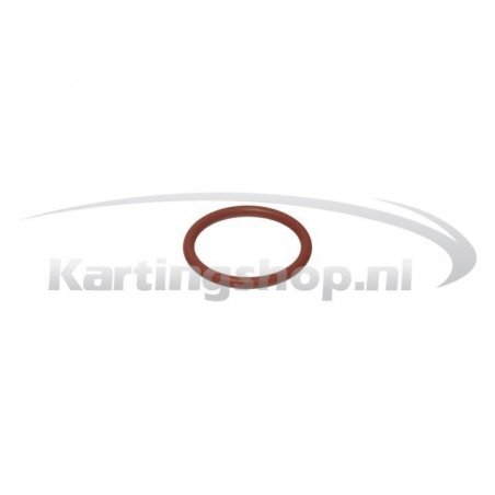 Cylinder head o-ring