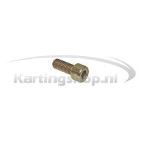 Exhaust manifold bolt M8 × 20 mm