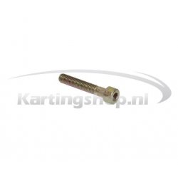 Bolt M6 × 35 mm Rotax Max