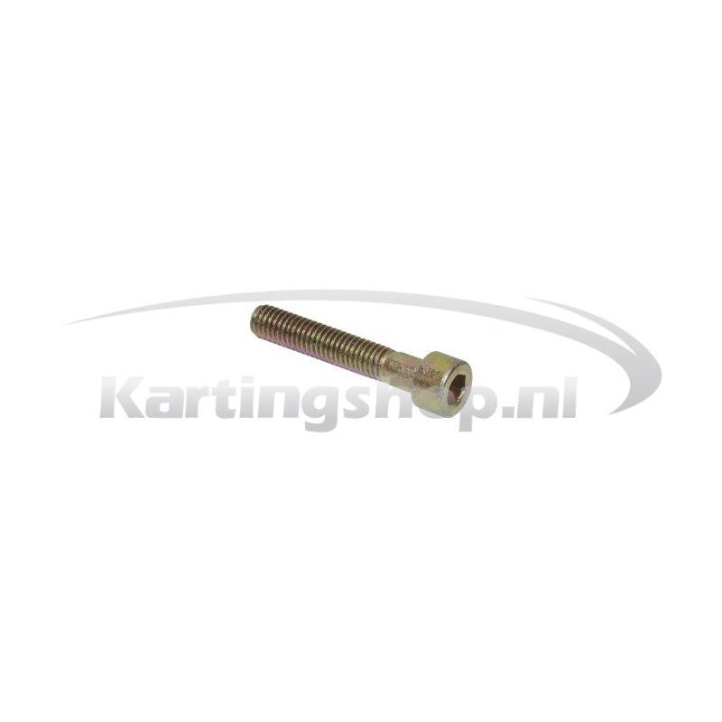 Bolt M6 × 35 mm Rotax Max