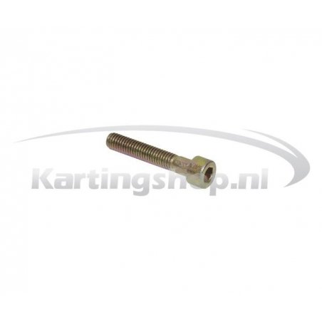 Bolt M6 × 35 mm Rotax Max