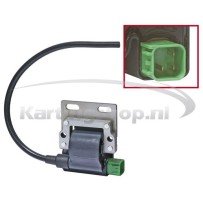 Ignition Coil Rojoax Max