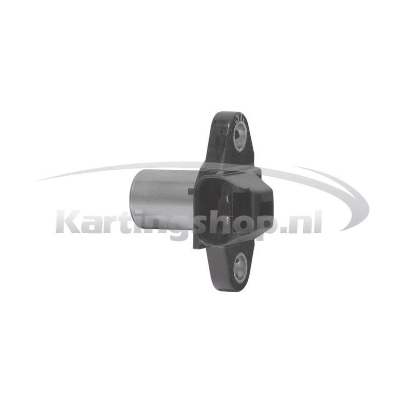 Pick Up Rotax Max