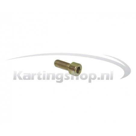 Pick Up confirmation bolt M6 × 20 mm – Kart Racing Part