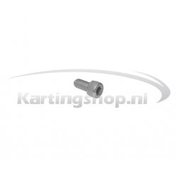 Länka bevestigingbout M6 × 12 mm Rotax Max