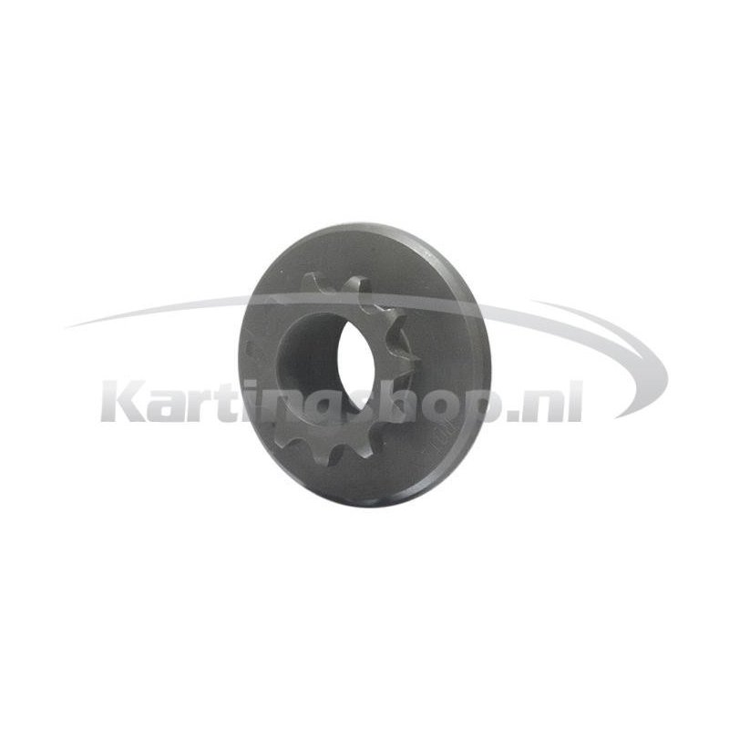 Equipo 11 T Rotax Max