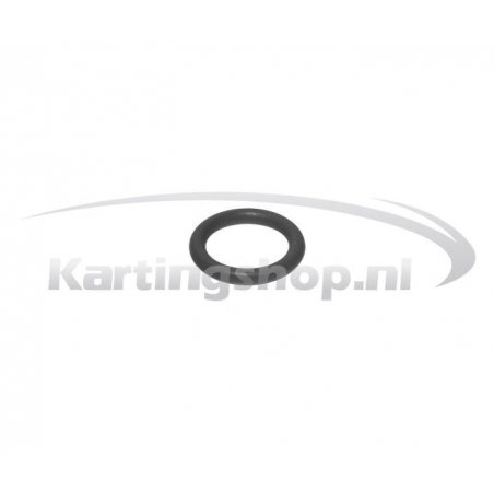 O-Ring crankshaft Rotax Max – Kart Racing Performance