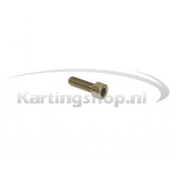 Filter Schraube M6 × 20 mm Rotax Max