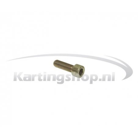 Filter bolt M6 × 20 mm Rotax Max