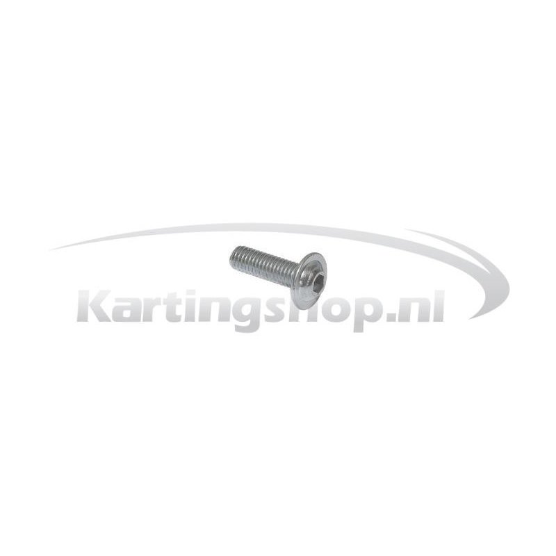 Radiator mounting bolt M6 × 20 mm – Kart Racing Performance