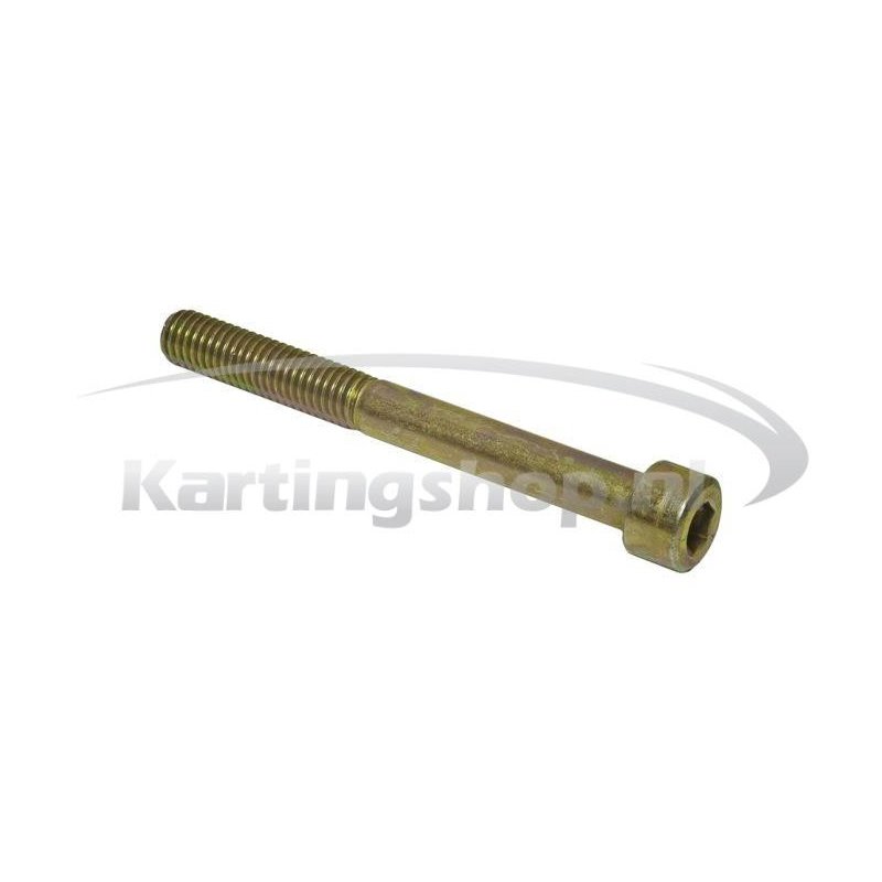 Heizkörper-Befestigungsschraube M8 × 75