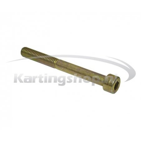 Perno de montaje del radiador M8 × 75