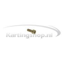 Exhaust muffler Bolt M4 × 12 mm Rotax Max
