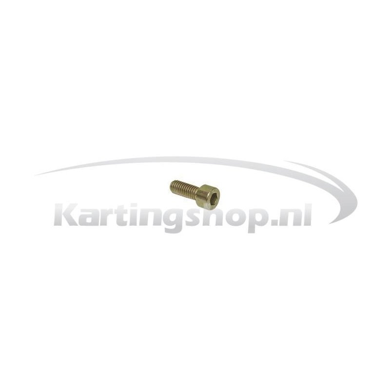 Exhaust muffler Bolt M4 × 12 mm Rotax Max