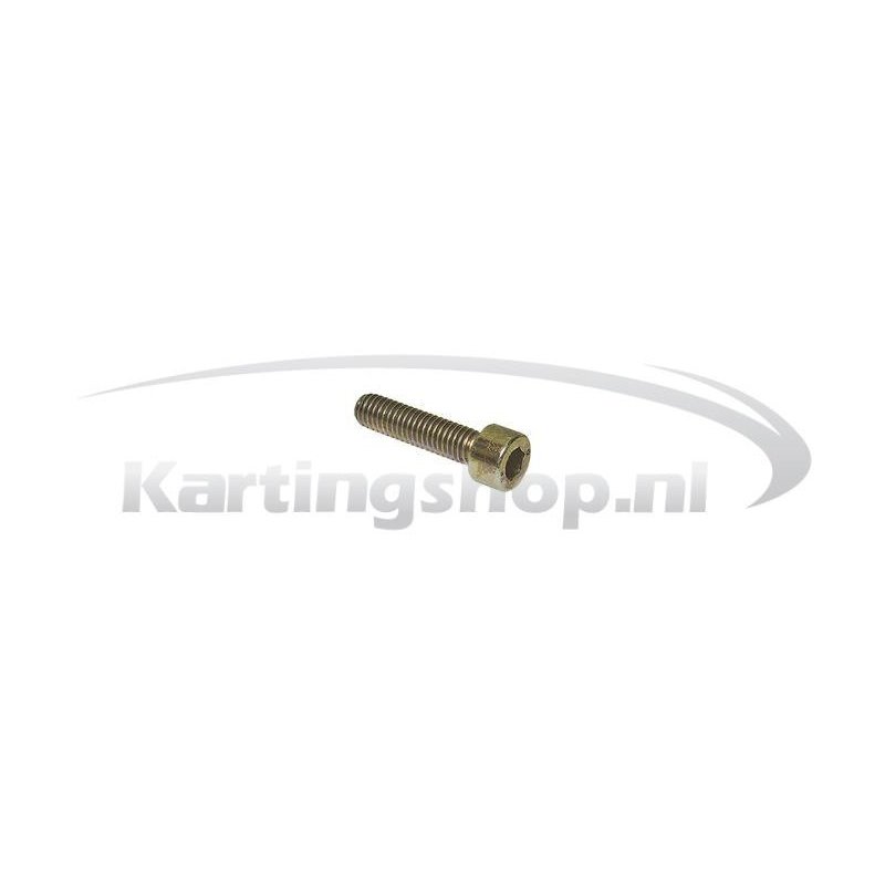 Dellorto float Bowl bolt M5x20