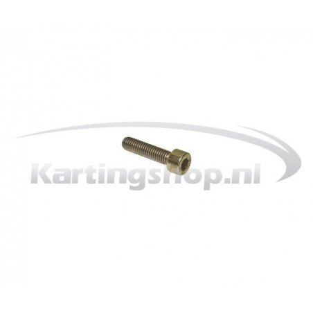 Dellorto float Bowl bolt M5x20