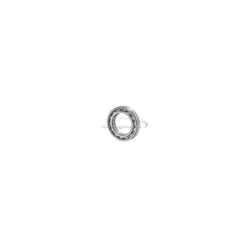 Ball leje 6010 C3