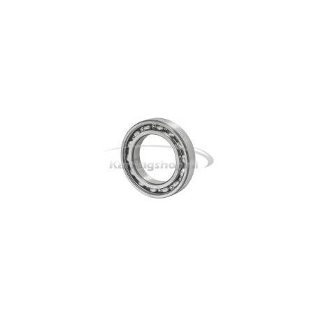Ball leje 6010 C3