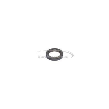 Seal ring 30 × 42 × 7/7.5 Rotax DD2