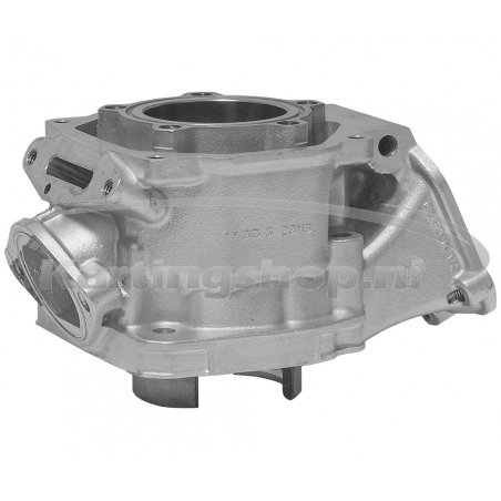Cylinder DD2 EN