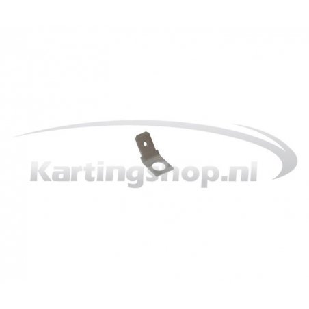Battery pole plug