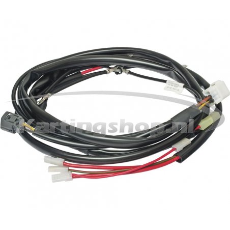 Wiring harness complete