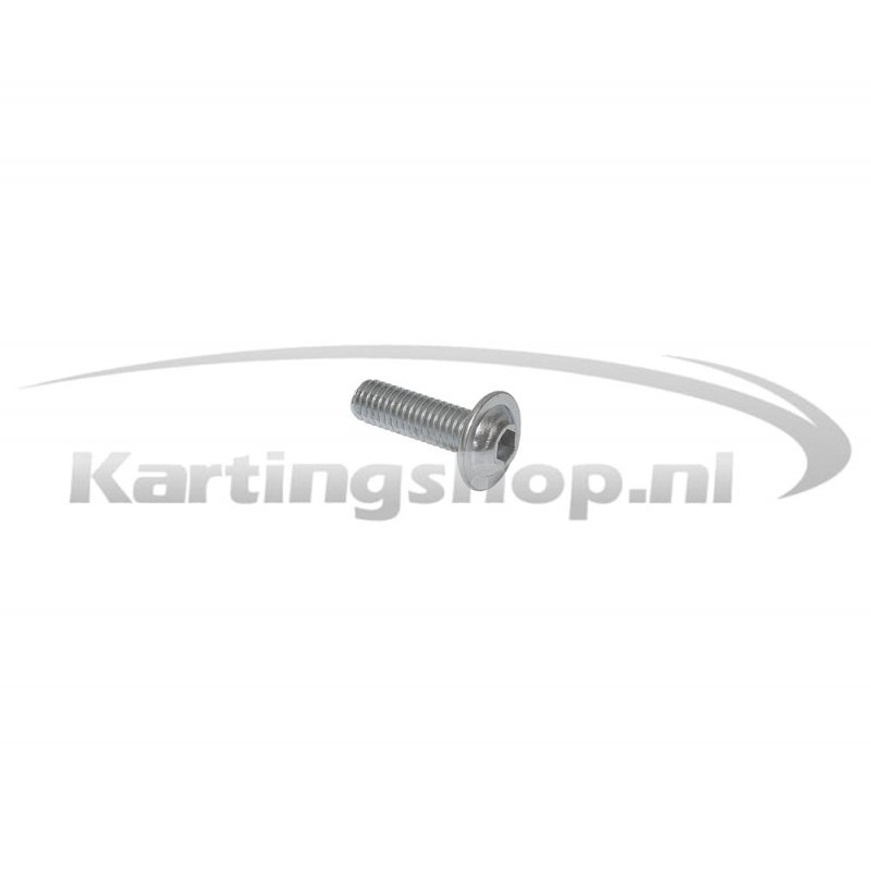 Pick up bevestingbout M6 × 20 mm