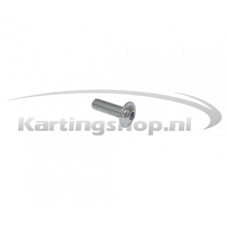 Pick up bevestingbout M6 × 20 mm