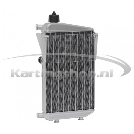 Radiator DD2 2011 complete