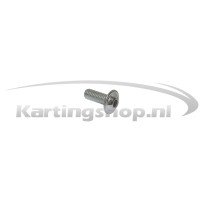 Bout met ronde kop M6×16mm