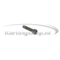 Link bolt M6 × 25