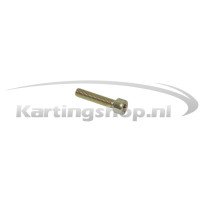 Link bolt M5 × 25