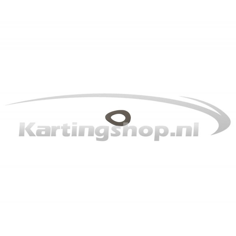 Spring Washer M6