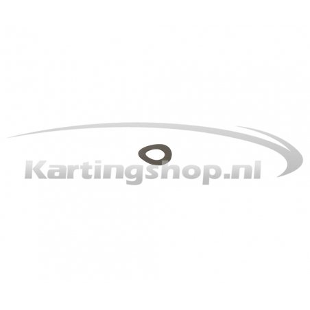 Spring Washer M6