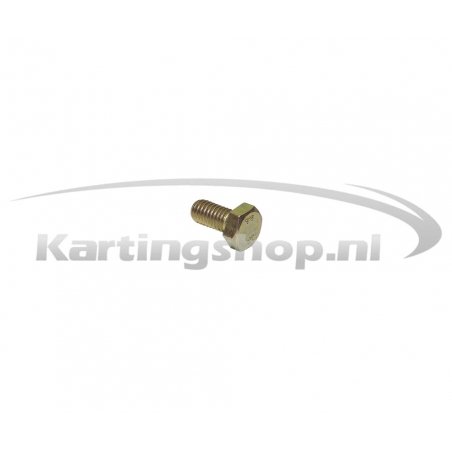 Hexagon screw M6 × 12