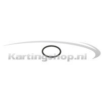 O-ring plug