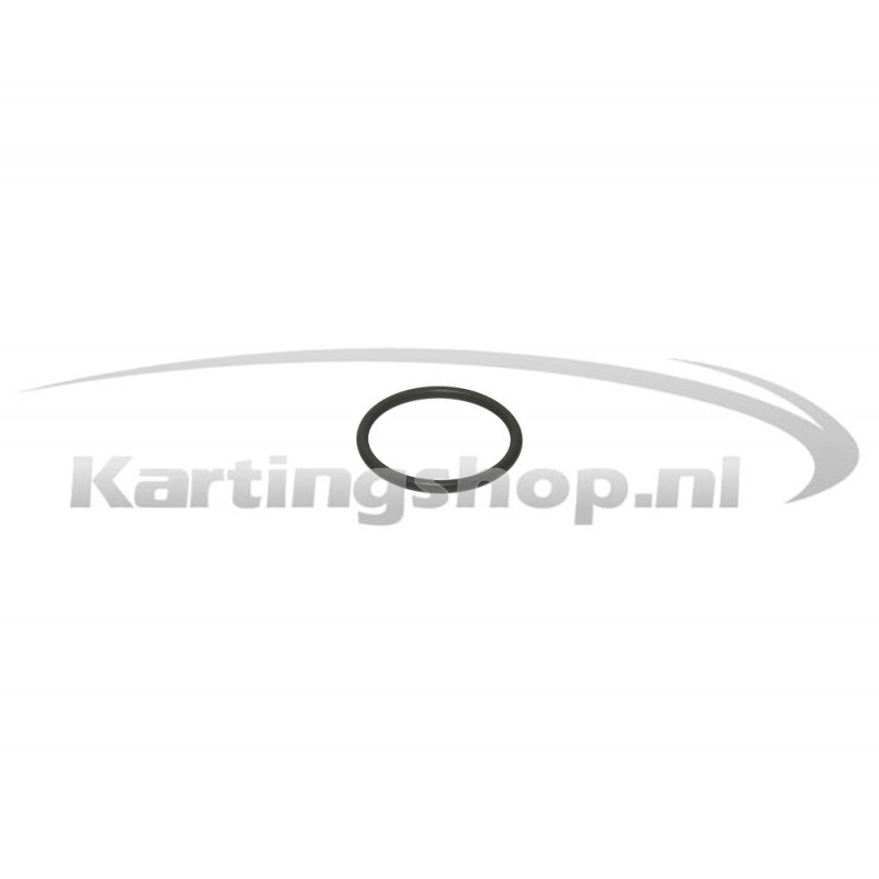 O-ring plug