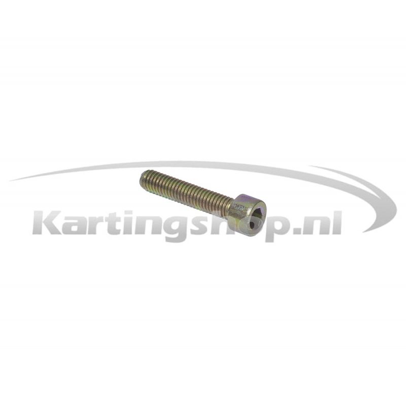 Lid bolt M6 × 30