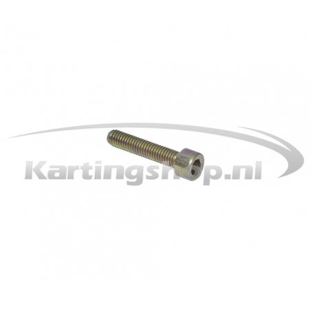 Lid bolt M6 × 30