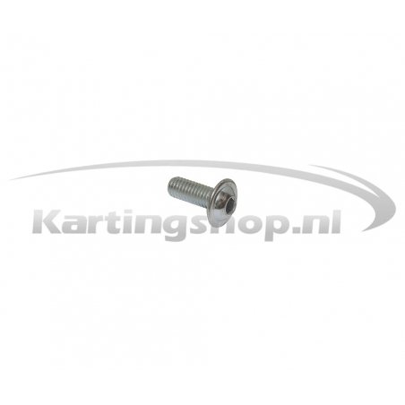 Filter bolt M6 × 16 mm