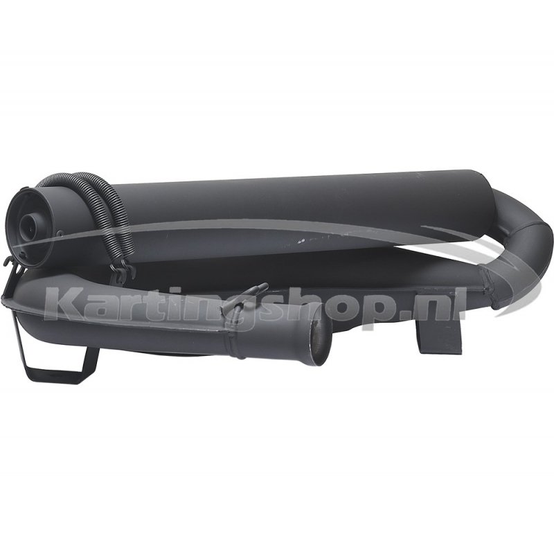 Escape completo Rotax DD2