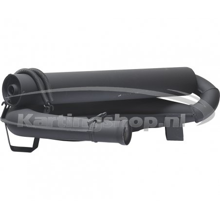 Escape completo Rotax DD2