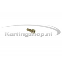 Escape silenciador tornillo M4 x 12 mm Rotax DD2