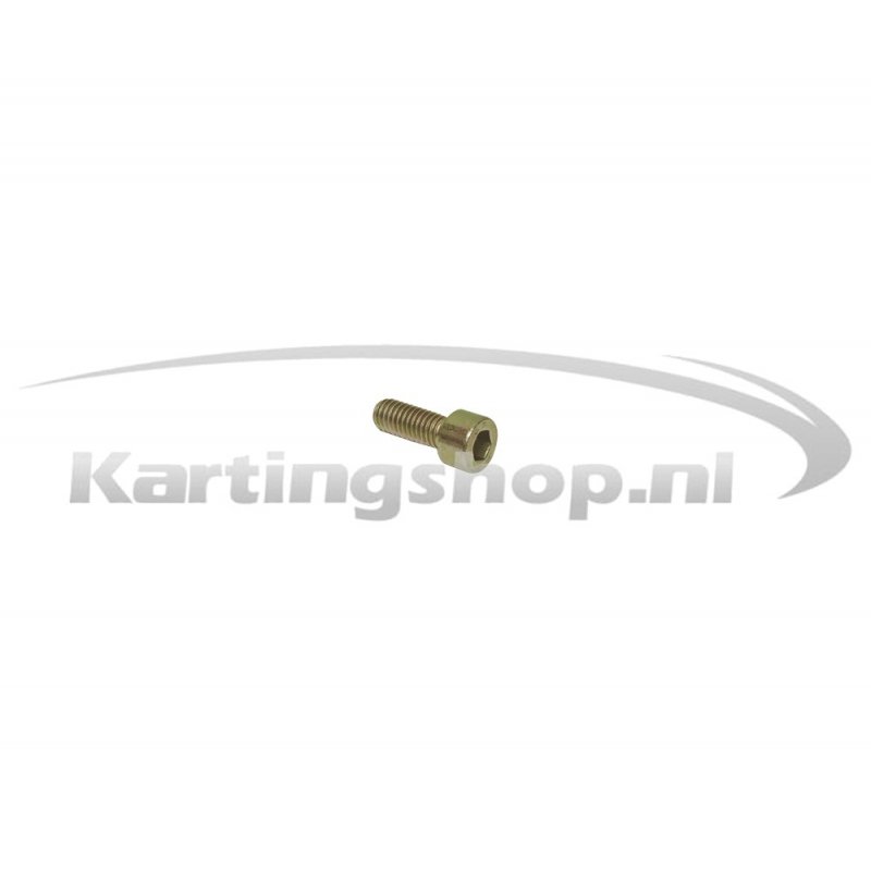 Escape silenciador tornillo M4 x 12 mm Rotax DD2