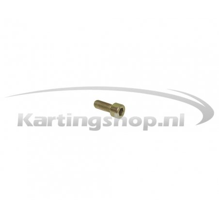 Escape silenciador tornillo M4 x 12 mm Rotax DD2