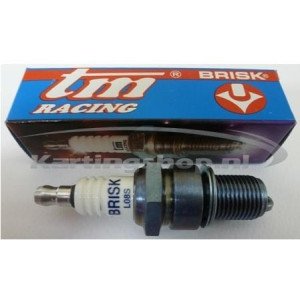 TM Brisk Spark Plug L08S