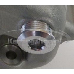 TM KZ10B Cylinder Plug