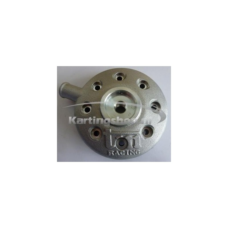 TM KZ10B cylinder head + insert B2